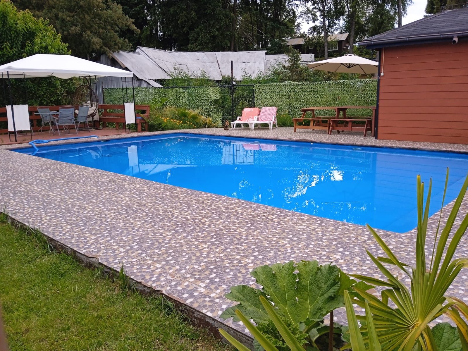 Piscina moderna